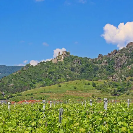 Vineyard * Krems an der Donau