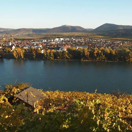 Vineyard *